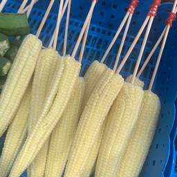 ข้าวโพดอ่อน