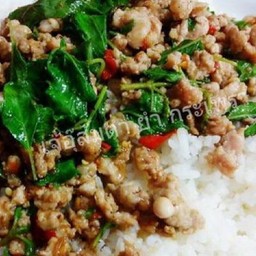 กระเพราหมูสับราดข้าว