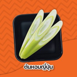 ต้นหอมญี่ปุ่น