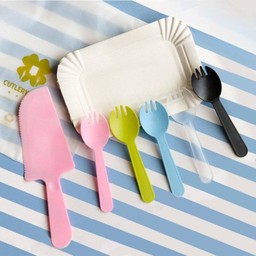 จานกระดาษ+ช้อน