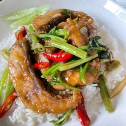 ข้าวปลากะพงผัดขึ้นช่าย