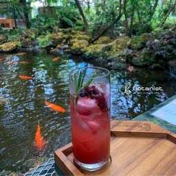 WILD BERRY SODA