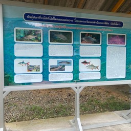 บ้านวังไทร