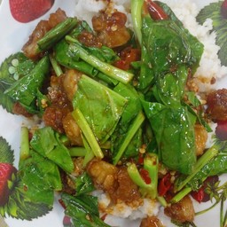 ผัดคะน้ากุ้งนำมันหอย ราดข้าว