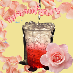 กุหลาบโซดา