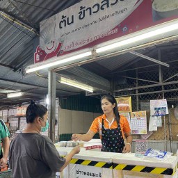 ต้น ข้าวสวย