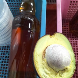 อะโวคาโด้น้ำผึ้ง