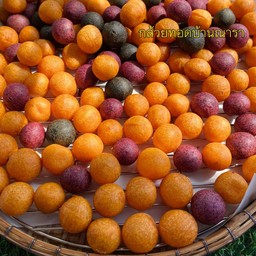 ไข่นกหลากสี