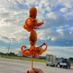 ป.ตรีหมึกย่าง🦑🦑 -