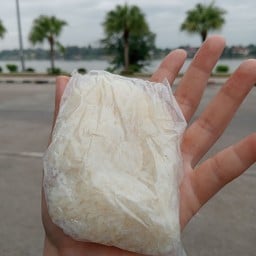 Sticky Rice