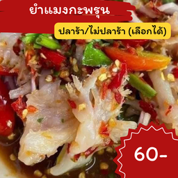 ยำแมงกะพรุน