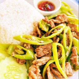 ผัดพริกหยวก (ราดข้าว)