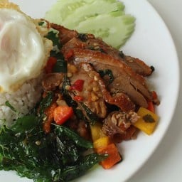 กะเพราเป็ดย่างราดข้าว+ไข่ดาว