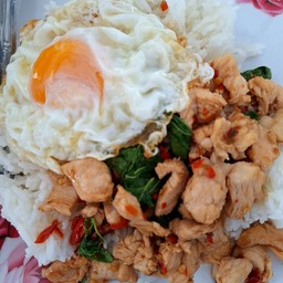 กะเพราไก่ราดข้าว
