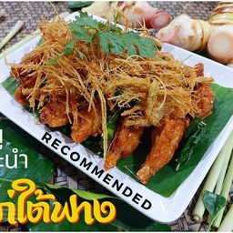 ไก่ใต้ฟาง