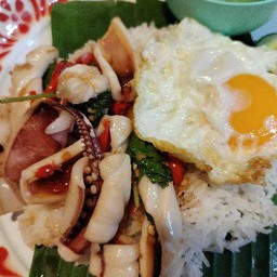 กะเพรา ปลาหมึก+ไข่ดาว