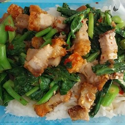 ข้าวราดคะน้าหมูกรอบ