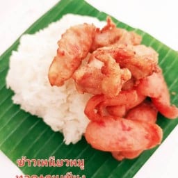 ร้านฟูจิครับ*ข้าวเหนียวหมูทอด/ข้าวไข่เจียวทรงเครื่อง