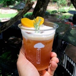 Brewcamp Slow Cafe’