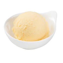 ไอศกรีมอย่างเดียว