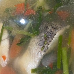 ต้มยำปลากระพง