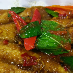 ปลาทูผัดพริกแกงใต้ใบโหระพา กับข้าว