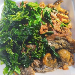 กระเพาะไข่เยี่ยวม้า
