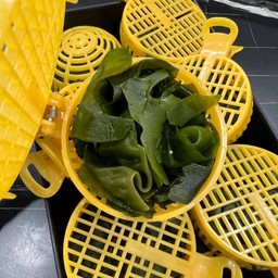 สาหร่ายวากาเมะ