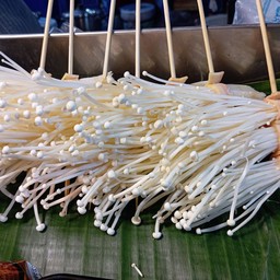 เห็ดเข็มทองชาบู