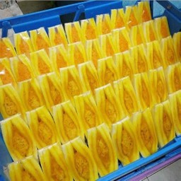 แซนวิชโบราณ