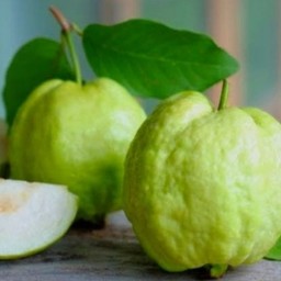 ผลไม้สด ใหม่