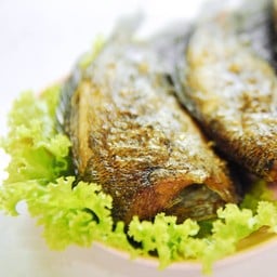 ปลาสลิดทอด