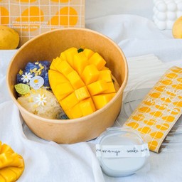 Mango Sticky Bowl