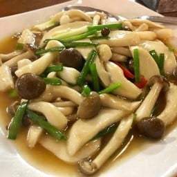 ผัดเห็ดน้ำมันหอย