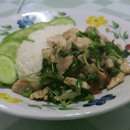 โรตีชมดาว