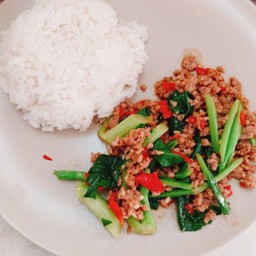 คะน้าผัดพริกหมูสับราดข้าว