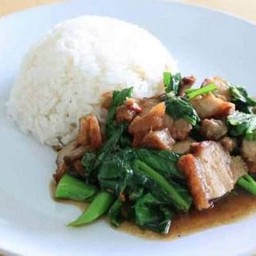 ผัดคะน้าหมูราดข้าว