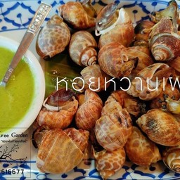 หอยหวานเผาครึ่งกิโล