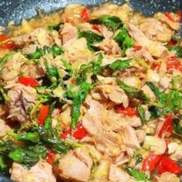 กะเพราทูน่า(ราดข้าว)