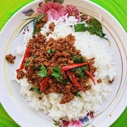 ครัวโพธิ์ทอง ข้าวผัดกะเพรา ก๋วยจั๊บ โบราณ