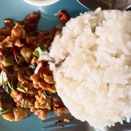 กะเพราไก่