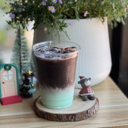 Cocoa mint