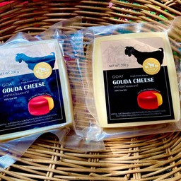 GOUDA CHEESE