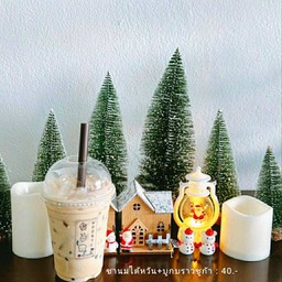 ชานมไต้หวัน+บุก(เย็น)