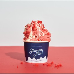Mamma Mia! Premium Gelato Homemade