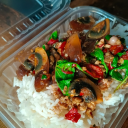 กะเพราไข่เยี่ยวม้า