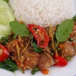 ผัดฉ่าหมูชิ้นราดข้าว