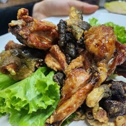 กบทอดน้ำปลา