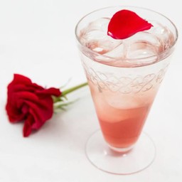 กุหลาบโซดา.