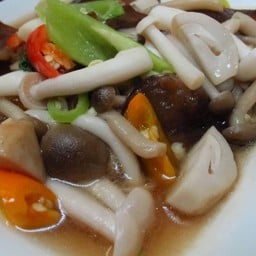 ผัดเห็ดรวมเจ